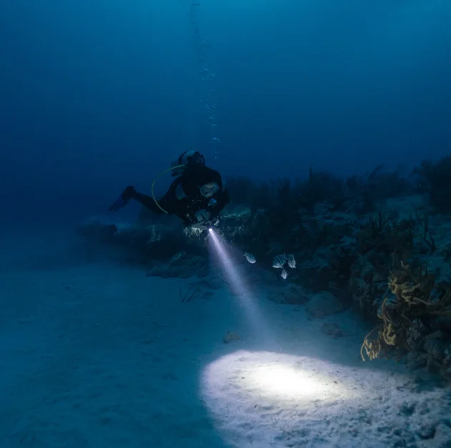 Night Diving